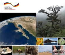 Biodiversity monitoring manual